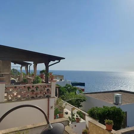 Salvia Corsano (Apulia)