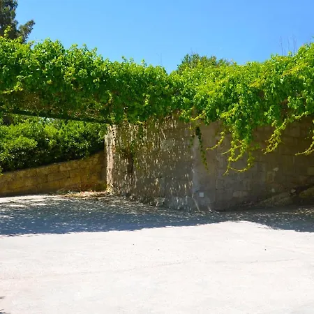 Salvia Corsano (Apulia)