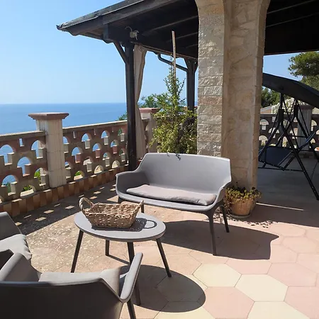 Salvia * Corsano (Apulia)