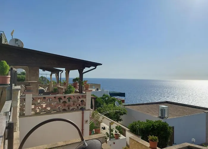 Salvia Corsano (Apulia)