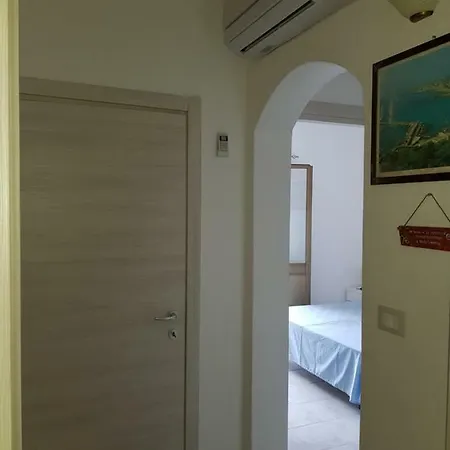 Salvia * Corsano (Apulia)