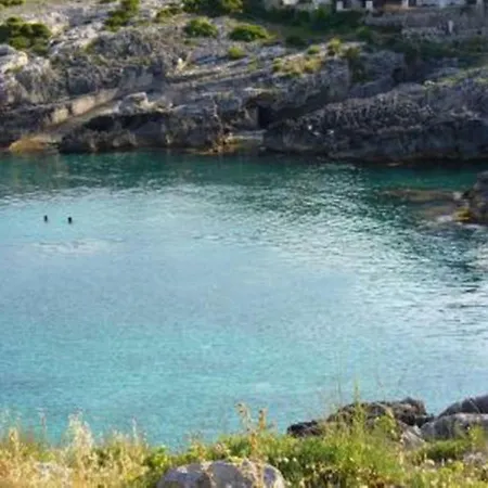 Salvia Casa vacanze